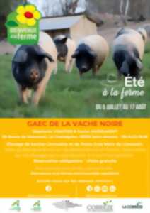 photo GAEC DE LA VACHE NOIRE - ÉTÉ À LA FERME - BAF