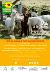 photo LES ALPAGAS DES MONÉDIÈRES - ÉTÉ À LA FERME - BAF
