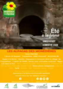photo LES ALPAGAS DES MONÉDIÈRES - ÉTÉ À LA FERME - BAF