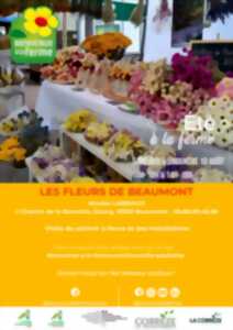 photo LES FLEURS DE BEAUMONT - ÉTÉ À LA FERME - BAF