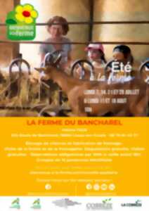 photo FERME DU BANCHAREL - ÉTÉ À LA FERME - BAF