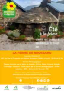 photo LA FERME DE BROSSARD - ÉTÉ À LA FERME - BAF