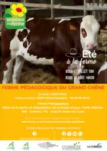 photo FERME PÉDAGOGIQUE DU GRAND CHÊNE - ÉTÉ À LA FERME - BAF