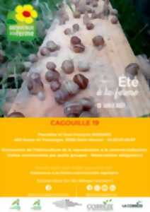 photo CAGOUILLE19 - ÉTÉ À LA FERME - BAF