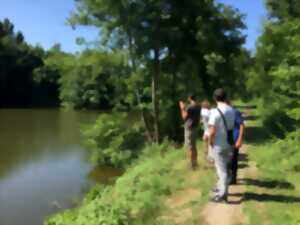 photo Sortie nature à Barsac - Au fil de l'eau