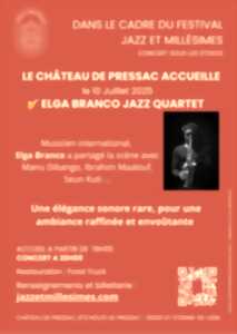 photo Concert sous les étoiles au Château de Pressac