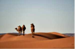 photo Histoires sur le sable