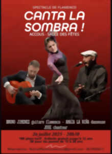 photo Spectacle flamenco - canta la sombra !