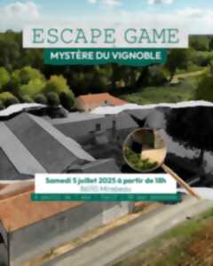 photo Escape Game : Mystère du vignoble