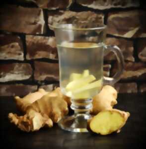 photo Lulu la Coussacoise : Atelier et gourmandises La Ginger beer dans tous ses états