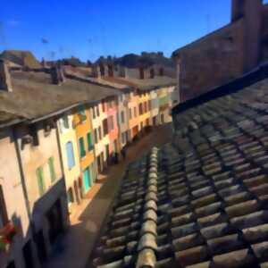 photo Visite guidée Tournus Grand Format