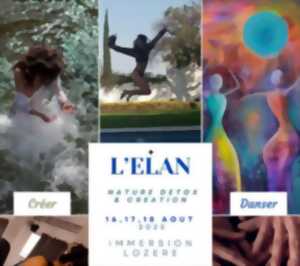 photo L'ELAN: NATURE, DETOX ET CREATION