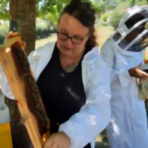 photo PORTES OUVERTES AUX SECRETS DES ABEILLES