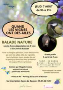 photo Quand les vignes ont des ailes