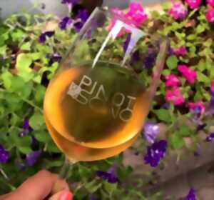 photo Pinot & Sono