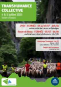 photo Transhumance collective