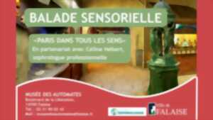 photo Balade Sensorielle au Musée des Automates
