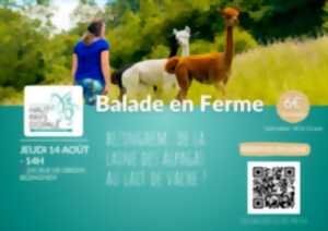 photo Balade en ferme à Bezinghem - 14 août