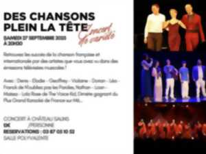 photo Concert de variété - Des chansons plein la tête