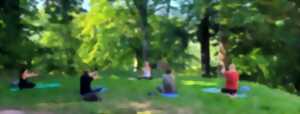 photo Expériences Mossig & Vignoble : Yoga doux