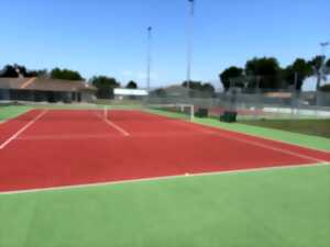 photo Tournoi de tennis simple et double