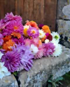 photo Atelier cueillette et confection de bouquet de fleurs