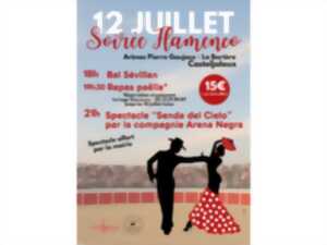 photo Soirée flamenco