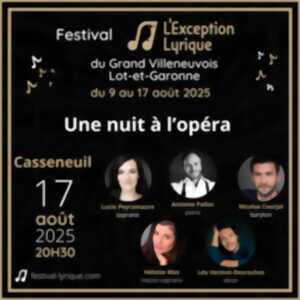 photo Festival Lyrique - Une nuit à l'opéra