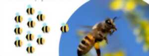 photo Les abeilles & moi