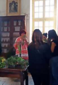 photo LES ATELIERS DE PALMIRA : LES PLANTES DES FEMMES ET LEURS USAGES