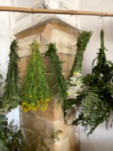 photo ATELIER DES PLANTES DE PALMIRA : HILDEGARDE DE BINGEN