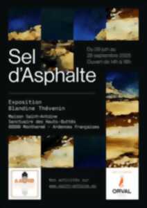 photo Exposition Sel d'Asphalte
