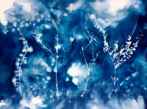 photo Atelier - Cyanotype