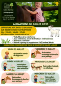 photo Animation semis de légumes