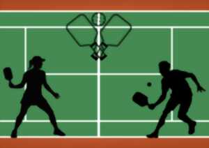 Animation Pickleball