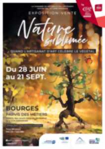 photo Nature sublimée
