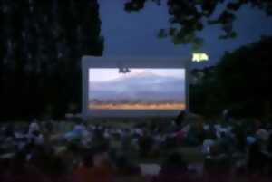 photo Cinéma Plein Air - Un p'tit truc en plus - Limoges