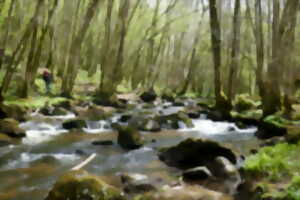 photo Pique-nique au bord de la Vige