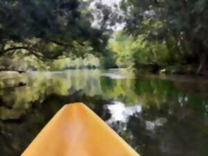 photo Sortie canoë : ramassage de déchets et découverte de la  biodiversité des rivières à Vendôme