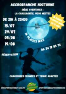 photo Accrobranche nocturne