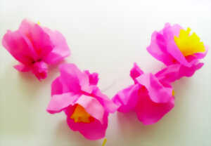 photo Atelier du mercredi | Fleurs en crépon