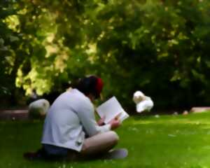 photo Club lecture - Les lectures de l'été