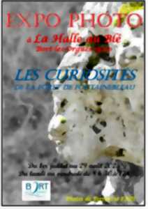 photo Exposition photo 