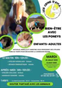 photo Ateliers bien-être avec les poneys