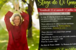 photo Stage de Qi Gong