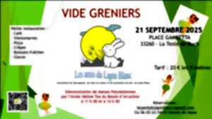 photo Vide Grenier par les Amis du Lapin Blanc