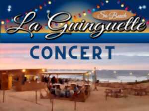 photo Concert à la Guinguette : HUGO OSTRO