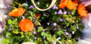photo Visite du jardin de plantes médicinales Magie Verte