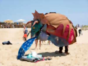photo Spectacle - Le triselectops aime sa plage