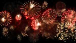 photo Fête au lac, repas champêtre et feu d'artifice